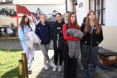 IMG_2930_1024x683