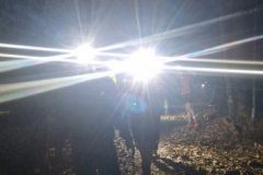 viber_slika_2026-02-07_19-34-33-109_355x768