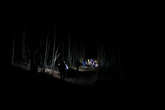 viber_slika_2026-02-08_09-33-30-750_1024x768