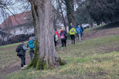 viber_slika_2026-02-08_09-57-09-093_1024x576