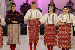 IMG_0248_1024x683