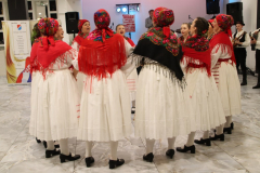 IMG_0350_1024x683