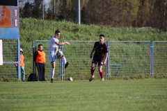 IMG_5558_1024x683