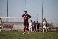 IMG_5610_1024x683