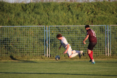 IMG_5871_1024x683