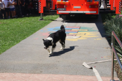 IMG_3706_1024x639