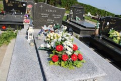 IMG_0358_1024x683