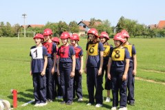 IMG_0378_1024x683