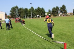 IMG_0380_1024x683