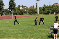 IMG_0420_1024x691