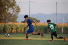IMG_0945_1024x683