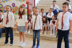 IMG_7224_1024x683
