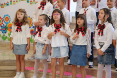 IMG_7233_1024x683