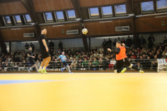 IMG_5500_1024x683