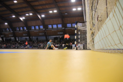 IMG_5527_1024x683