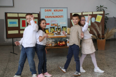 IMG_3942_1024x683