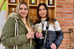 viber_image_2025-11-08_21-07-46-427_1024x683