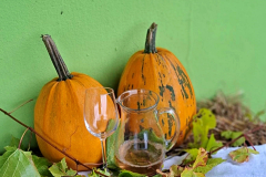 viber_image_2025-11-09_08-17-35-071