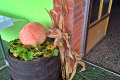 viber_image_2025-11-09_08-17-35-168