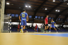 IMG_4495_1024x683