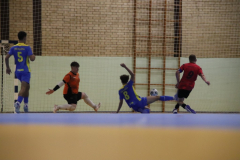 IMG_4529_1024x683