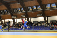 IMG_4585_1024x683