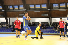 IMG_4591_1024x683