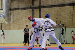 IMG_5503_1024x683