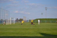 DSC_0202_1024x683