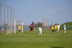 DSC_0220_1024x683