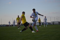DSC_0300_1024x683