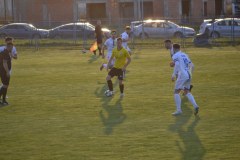 DSC_0302_1024x683