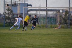 DSC_0306_1024x683