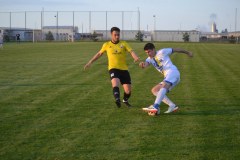 DSC_0309_1024x683
