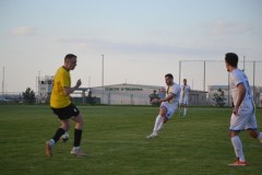 DSC_0318_1024x683