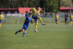 IMG_0778_1024x683