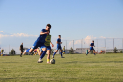 IMG_0868_1024x683