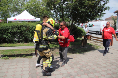 IMG_4565_1024x683