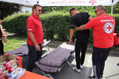IMG_4570_1024x683