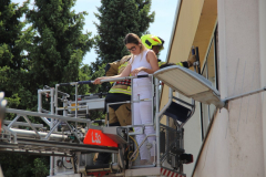 IMG_4602_1024x683