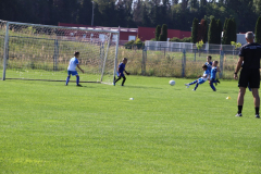 IMG_0381_1024x683