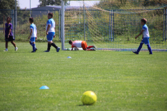 IMG_0436_1024x683