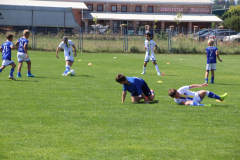 IMG_0479_1024x683