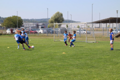 IMG_0539_1024x683
