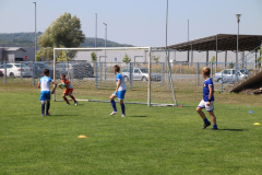 IMG_0542_1024x683