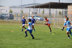 IMG_0608_1024x683