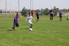 IMG_0645_1024x683
