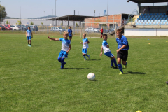 IMG_0658_1024x683